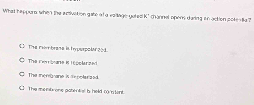 What happens when the activation gate of a voltage-gated K^+ channel opens during an action potential?
The membrane is hyperpolarized.
The membrane is repolarized.
The membrane is depolarized.
The membrane potential is held constant.