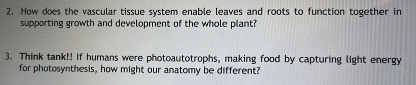 How does the vascular tissue system enable leaves and roots to function together in 
supporting growth and development of the whole plant? 
3. Think tank!! If humans were photoautotrophs, making food by capturing light energy 
for photosynthesis, how might our anatomy be different?