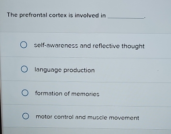 The prefrontal cortex is involved in_ _.
self-awareness and reflective thought
language production
formation of memories
motor control and muscle movement