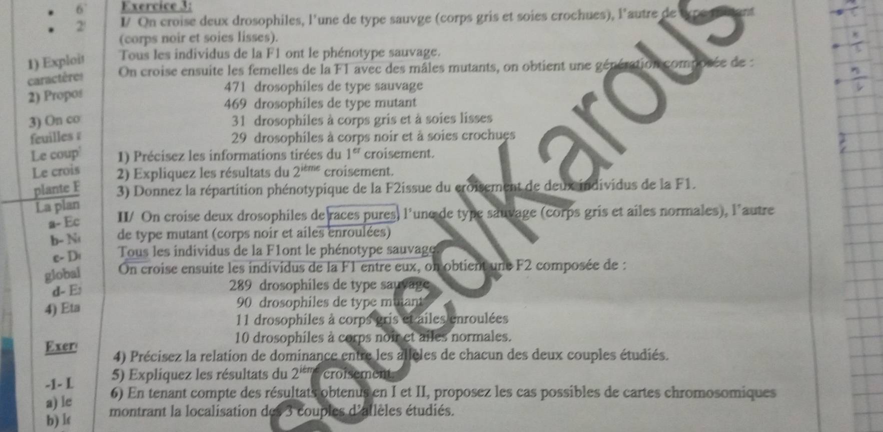 6° Exercice 3:
2' V On croise deux drosophiles, l’une de type sauvge (corps gris et soies crochues), l'autre de
(corps noir et soies lisses).
1) Exploit Tous les individus de la F1 ont le phénotype sauvage.
On croise ensuite les femelles de la F1 avec des mâles mutants, on obtient une génération composée de :
caractères
2) Propos
471 drosophiles de type sauvage
469 drosophiles de type mutant
3) On co 31 drosophiles à corps gris et à soies lisses
feuilles ; 29 drosophiles à corps noir et à soies crochues
Le coup' 1) Précisez les informations tirées du 1^(cr) croisement.
Le crois 2) Expliquez les résultats du 2^(itme) croisement.
plante F  3) Donnez la répartition phénotypique de la F2issue du croisement de deux individus de la F1.
La plan
a- Ec  II/ On croise deux drosophiles de races pures) l'unc de type sauvage (corps gris et ailes normales), l'autre
b- N de type mutant (corps noir et ailes enroulées)
c- Di Tous les individus de la F1ont le phénotype sauvage
global On croise ensuite les individus de la F1 entre eux, on obtient une F2 composée de :
d- E: 289 drosophiles de type sauvage
4) Eta
90 drosophiles de type muian
11 drosophiles à corps gris et ailes enroulées
10 drosophiles à corps noir et ailes normales.
Exer 4) Précisez la relation de dominance entre les allèles de chacun des deux couples étudiés.
-1- L 5) Explíquez les résultats du 2^(ikm) croisement
a) le 6) En tenant compte des résultats obtenus en I et II, proposez les cas possibles de cartes chromosomiques
b) lc montrant la localisation des 3 couples d'allèles étudiés.