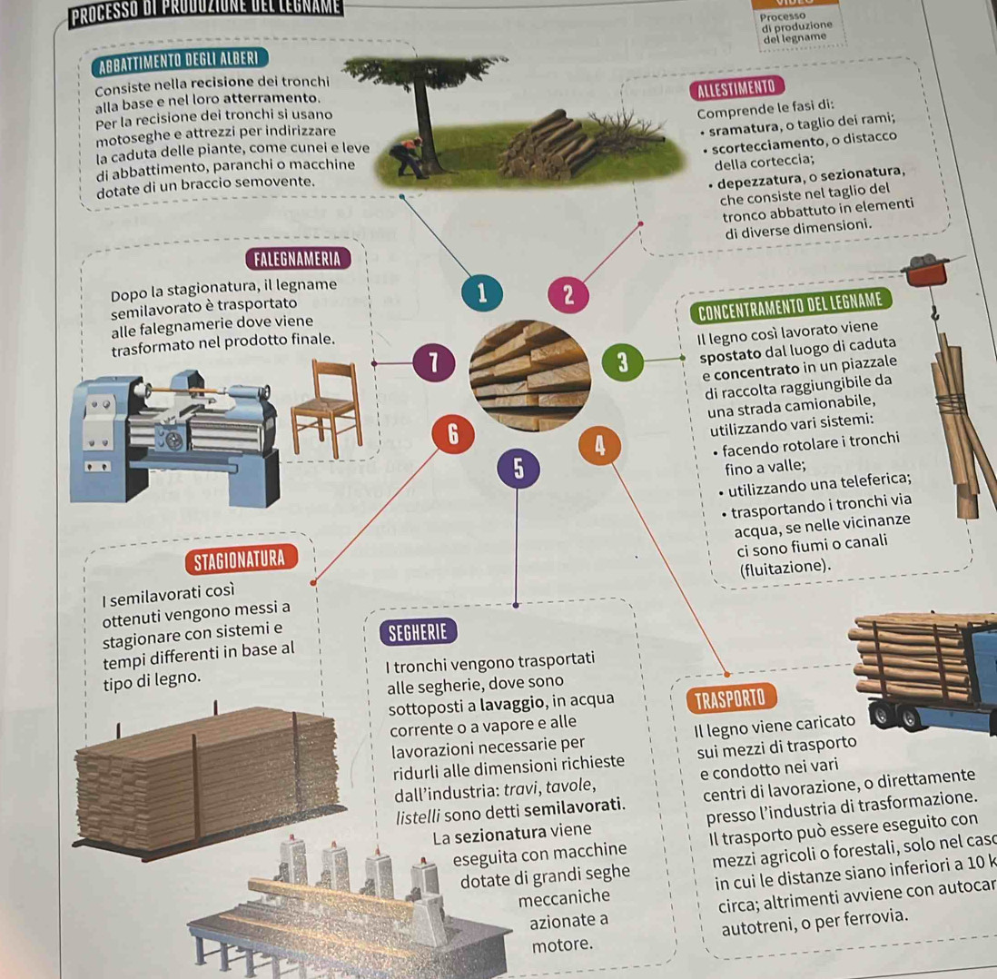 Processo di produzione del legname
Processo
di produzione
del legname
Aßbättımento Deglı Alberi
Consiste nella recisione dei tronchi
ALLESTIMENTO
alla base e nel loro atterramento.
Per la recisione dei tronchi si usano
Comprende le fasi di:
motoseghe e attrezzi per indirizzare
sramatura, o taglio dei rami;
la caduta delle piante, come cunei e leve
scortecciamento, o distacco
di abbattimento, paranchi o macchine
della corteccia;
dotate di un braccio semovente.
depezzatura, o sezionatura,
che consiste nel taglio del
tronco abbattuto in elementi
di diverse dimensioni.
FALEGNAMERIA
Dopo la stagionatura, il legname
semilavorato è trasportato 1 2
CONCENTRAMENTO DEL LEGNAME
alle falegnamerie dove viene
trasformato nel prodotto finale.
Il legno cosí lavorato viene
1
3 spostato dal luogo di caduta
e concentrato in un piazzale
di raccolta raggiungibile da
6 una strada camionabile,
utilizzando vari sistemi:
4
5 facendo rotolare i tronchi
fino a valle;
utilizzando una teleferica;
trasportando i tronchi via
acqua, se nelle vicinanze
STAGIONATURA
I semilavorati così ci sono fiumi o canali
ottenuti vengono messi a (fluitazione).
stagionare con sistemi e
tempi differenti in base al SEGHERIE
I tronchi vengono trasportati
tipo di legno.
alle segherie, dove sono
sottoposti a lavaggio, in acqua TRASPORTO
corrente o a vapore e alle
lavorazioni necessarie per Il legno viene caricato
ridurli alle dimensioni richieste sui mezzi di trasporto
dall’industria: travi, tavole, e condotto nei vari
listelli sono detti semilavorati. centri di lavorazione, o direttamente
La sezionatura viene presso l’industria di trasformazione.
eseguita con macchine Il trasporto può essere eseguito con
dotate di grandi seghe mezzi agricoli o forestali, solo nel caso
meccaniche  in cui le distanze siano inferiori a 10 k
azionate a circa; altrimenti avviene con autocar
P
motore. autotreni, o per ferrovia.