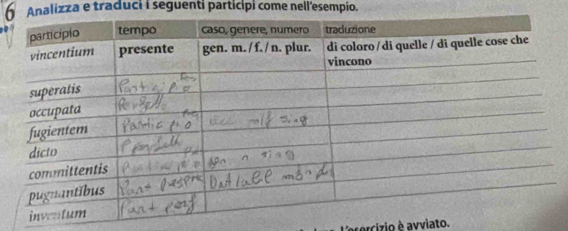 Analizza e traduci i seguenti participi come nell'esempio. 
cercizio e avviato.