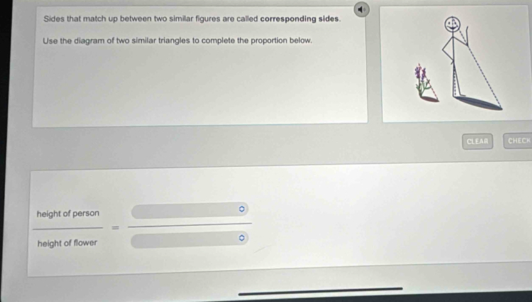 Sides that match up between two similar figures are called corresponding sides. 
Use the diagram of two similar triangles to complete the proportion below. 
CLEAR CHECK
 heightofperson/heightoffower = □ /□  