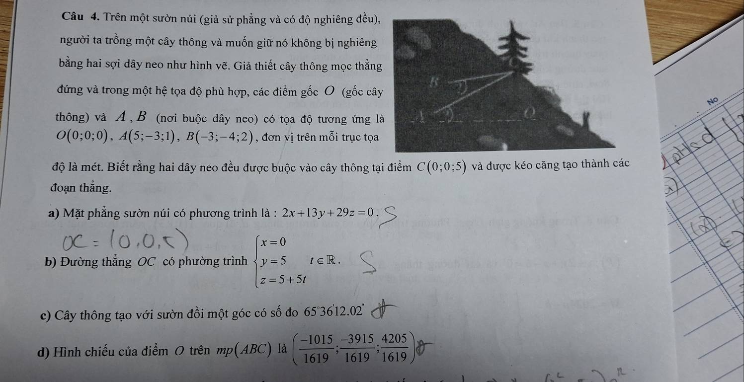 Trên một sườn núi (giả sử phẳng và có độ nghiêng đều), 
người ta trồng một cây thông và muốn giữ nó không bị nghiêng 
bằng hai sợi dây neo như hình vẽ. Giả thiết cây thông mọc thắng 
đứng và trong một hệ tọa độ phù hợp, các điểm gốc O (gốc cây 
No 
thông) và A , B (nơi buộc dây neo) có tọa độ tương ứng l
O(0;0;0), A(5;-3;1), B(-3;-4;2) , đơn vị trên n nhat oi trục tọa 
độ là mét. Biết rằng hai dây neo đều được buộc vào cây thông tại điểm C(0;0;5) và được kéo căng tạo thành các 
đoạn thắng. 
a) Mặt phẳng sườn núi có phương trình là : 2x+13y+29z=0. 
b) Đường thẳng OC có phường trình beginarrayl x=0 y=5t∈ R. z=5+5tendarray.
c) Cây thông tạo với sườn đồi một góc có số đo 65 36' 12.02
d) Hình chiếu của điểm O trên mp(ABC) là ( (-1015)/1619 ; (-3915)/1619 ; 4205/1619 )