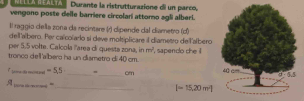 NELLA REALTA Durante la ristrutturazione di un parco, 
vengono poste delle barriere circolari attorno agli alberi. 
Il raggio della zona da recintare (r) dipende dal diametro (d) 
dell'albero. Per calcolarlo si deve moltiplicare il diametro dell'albero 
per 5,5 volte. Calcola l'area di questa zona, in m^2 , sapendo che il 
tronco dell'albero ha un diametro di 40 cm.
r_(emaifsmintare)=5,5. _ m_  cm
A (20nailaneintan a)= _
[=15,20m^2]