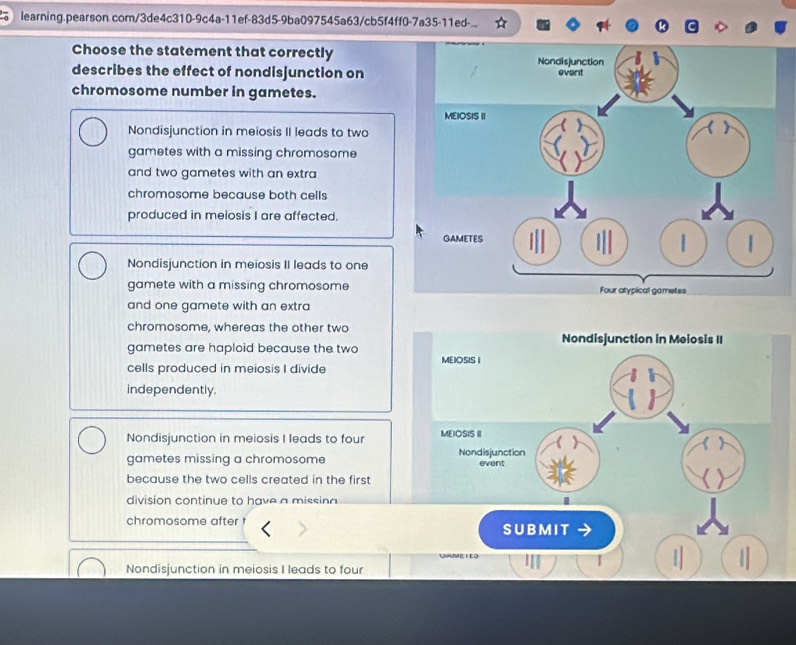 learning.pearson com/3de4c310-9c4a-11ef-83d5-9ba097545a63/cb5f4ff0-7a35-11ed-
Choose the statement that correctly
describes the effect of nondisjunction on
chromosome number in gametes.
Nondisjunction in meiosis II leads to two
gametes with a missing chromosome
and two gametes with an extra
chromosome because both cells
produced in meiosis I are affected.
Nondisjunction in meiosis II leads to one
gamete with a missing chromosome
and one gamete with an extra
chromosome, whereas the other two
Nondisjunction in Meiosis II
gametes are haploid because the two MEIOSIS I
cells produced in meiosis I divide
independently.
Nondisjunction in meiosis I leads to four MEIOSIS II
gametes missing a chromosome Nondisjunction event
because the two cells created in the first
division continue to have a missina
chromosome after SUBMIT
I
Nondisjunction in meiosis I leads to four