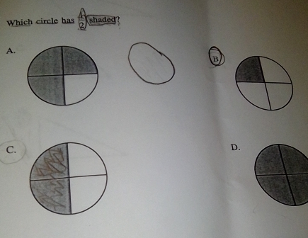 Which circle has shaded? 
A. 
B 
C. 
D.