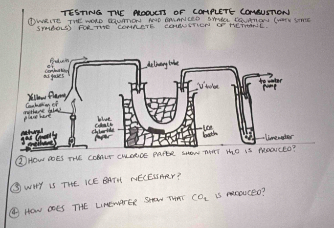 TESTING THE RROOUCTS OF COMPLETE COMSUSTION
OWRITE THE WORD EQUATON AND BALANCED SYHBOL CQURTON CWOTU STTE
SYMBOLS) FORTHE COMRLETE COYBUSTION OF HETHANE.
ZHOW DOES THE COBALT CHLORIOE PAPER SHOW TIAT
③WHY IS THE ICE BATH NECESSARr?
④ HOW DOES THE LIMENATER SHOW THAT CO_2 IS ARODUCEo?