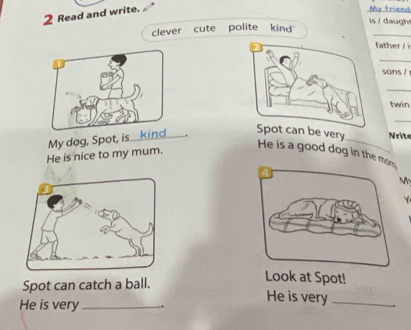 Read and write. 
My friend 
is / daugh 
_ 
clever cute polite kind 
father / i 
_ 
sons / 
_ 
twin 
_ 
My dog, Spot, is_ kind . 
_ 
be very Nrite 
He is nice to my mum. 
He is a good dog in the m 
My 
Y 
Spot can catch a ball. 
Look at Spot! 
He is very_ 
He is very_ . .