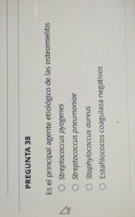 PREGUNTA 38
Es el principal agente etiológico de las osteomielitis
Streptococcus pyogenes
Streptococcus pneumoniae
Staphylococcus aureus
Estafilococos coagulasa negativos