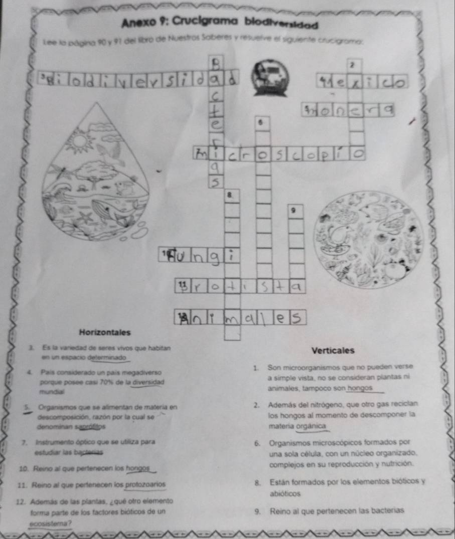 Resuelto:Anexo 9: Crucigrama biodiversidad Lee laa 90 y 91 del libro de  Nuestros Saberes y resuelve