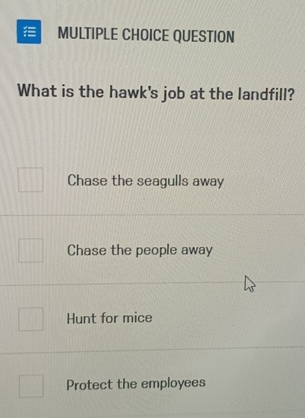 QUESTION
What is the hawk's job at the landfill?
Chase the seagulls away
Chase the people away
Hunt for mice
Protect the employees