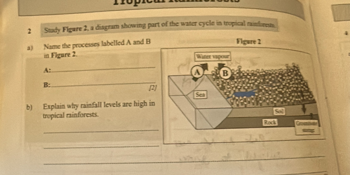 Stady Figure 2, a diagram showing part of the water cycle in tropical minfrem. 
4 
a) Name the processes labelled A and B 
in Figure 2. 
A: 
_ 
B: 
_ 
[2] 
b) Explain why rainfall levels are high in 
tropical rainforests. 
_ 
_ 
_ 
_