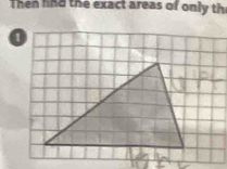 Then find the exact areas of only th 
1