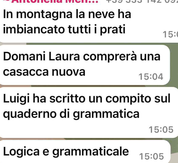 In montagna la neve ha 
imbiancato tutti i prati
15 : 
Domani Laura comprerà una 
casacca nuova
15:04
Luigi ha scritto un compito sul 
quaderno di grammatica
15:05
Logica e grammaticale 15:05