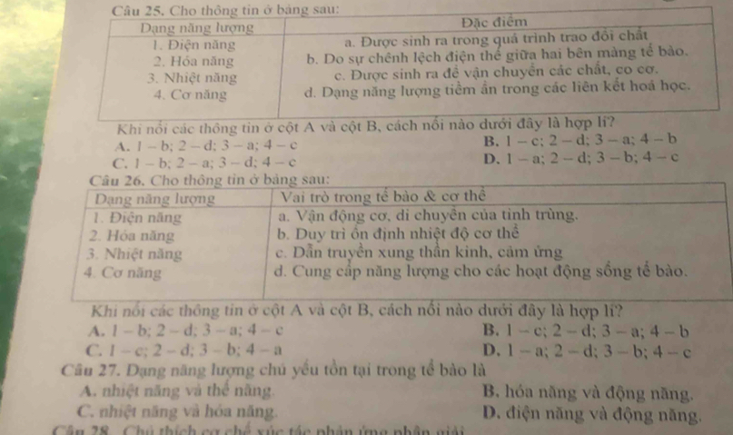 Khi nổi các thông tin ở cột A và cột B, cá
A. 1 - b; 2 - d:3-a; 4-c
B. 1-c; 2-d; 3-a; 4-b
C. -b; 2-a; 3-d; 4-c
D. 1-a; 2-d; 3-b; 4-c
Khi nổi các thông tin ở cột A và cột B, cách nổi nào dưới đây là hợp lí?
A. 1-b; 2-d; 3-a; 4-c B. 1-c; 2-d; 3-a; 4-b
C. 1-c; 2-d; 3-b; 4-a D. 1-a; 2-d; 3-b; 4-c
Câu 27. Dạng năng lượng chú yếu tồn tại trong tể bào là
A. nhiệt năng và thể năng. B. hóa năng và động năng.
C. nhiệt năng và hóa năng. D. điện năng và động năng.
Cân 28 . Chú thích cơ chế xúc tác nhân ứmg phân giải