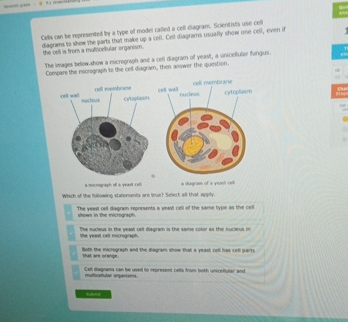 Seventh grade R l Understand
Cells can be represented by a type of model called a cell diagram. Scientists use cell
diagrams to show the parts that make up a cell. Cell diagrams usually show one cell, even if
the cell is from a multicellular organism.
The images below show a micrograph and a cell diagram of yeast, a unicellular fungus. ela
Compare the micrograph to the cell diagram, then answer the question.
∞
cell membrane
cell wall cell membrane
cell wall Cha
nucleus cytoplasm nucleus cytoplasm
Stage
Get
0
o
a micrograph of a yeast cel l a diagram of a yeast cell
Which of the following statements are true? Select all that apply.
The yeast cell diagram represents a yeast cell of the same type as the cell
shown in the micrograph.
The nucleus in the yeast cell diagram is the same color as the nucleus in
the yeast cell micrograph.
Both the micrograph and the diagram show that a yeast cell has cell parts
that are orange.
Cell diagrams can be used to represent cells from both unicellular and
multicellular organisms.
Submit