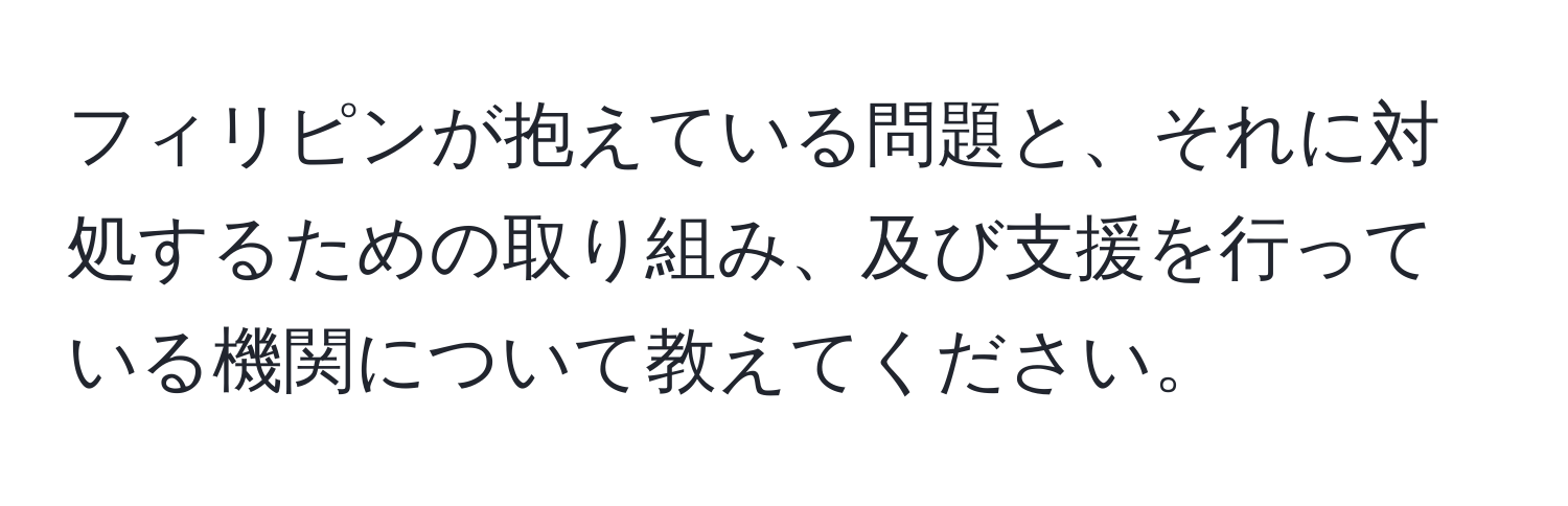 フィリピンが抱えている問題と、それに対処するための取り組み、及び支援を行っている機関について教えてください。