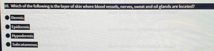 Which of the following is the layer of skin where blood vessels, nerves, sweat and oil glands are located?
Dermis
Epidermis
Hypodermis
Subcutaneous