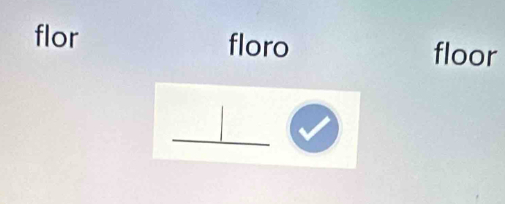 flor floro floor