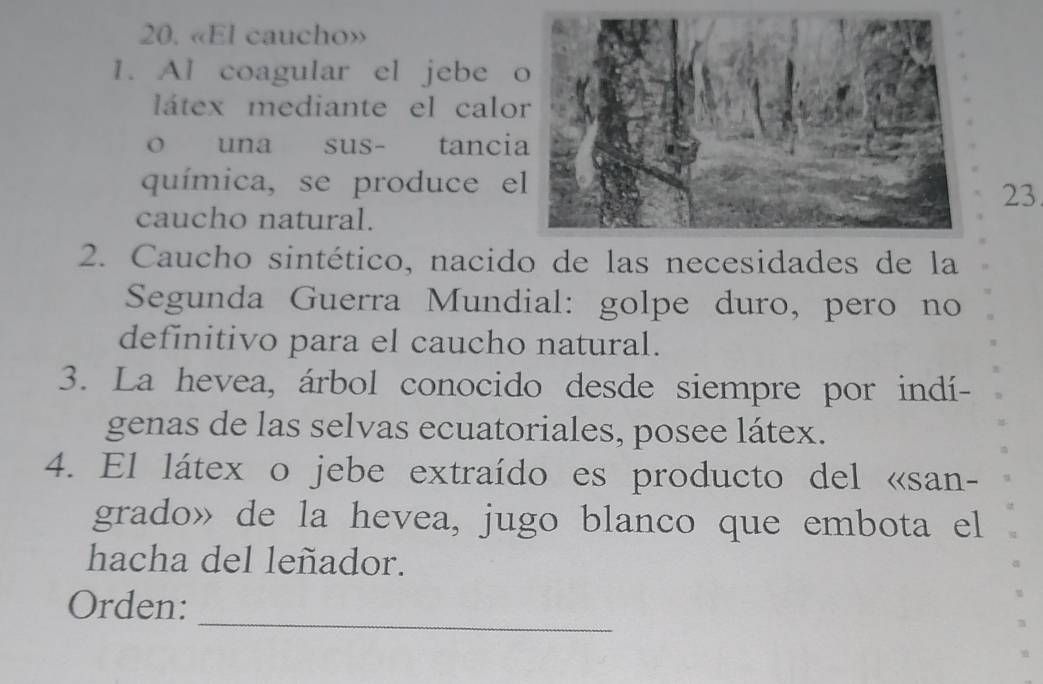 «El caucho» 
1. Al coagular el jebe 
látex mediante el calo 
o una sus- tanci 
química, se produce e
23
caucho natural. 
2. Caucho sintético, nacido de las necesidades de la 
Segunda Guerra Mundial: golpe duro, pero no 
definitivo para el caucho natural. 
3. La hevea, árbol conocido desde siempre por indí- 
genas de las selvas ecuatoriales, posee látex. 
4. El látex o jebe extraído es producto del «san- 
grado» de la hevea, jugo blanco que embota el 
hacha del leñador. 
_ 
Orden: