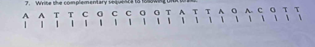 Write the complementary sequence to following DNA strand: 
A A T T C G C C G G T A T T A G A. C G T T 
1 1  |          