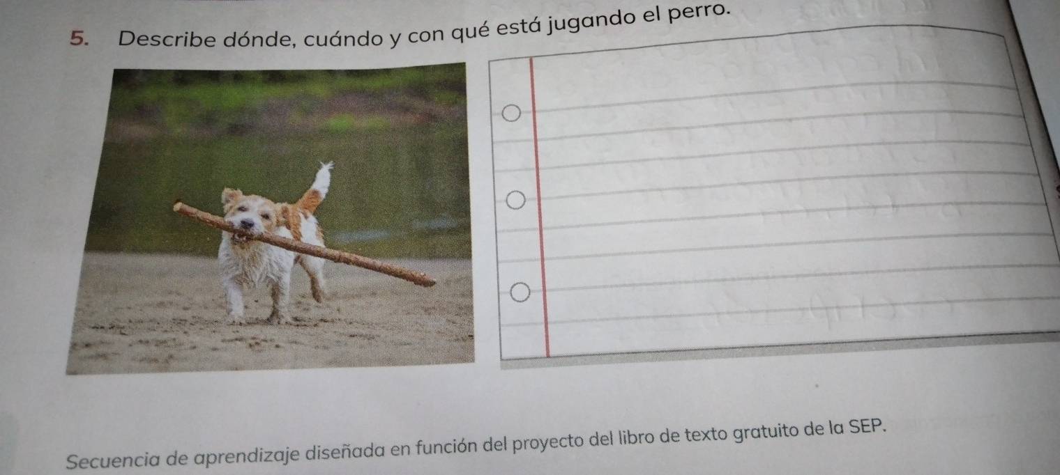 Describe dónde, cuándo y con qué está jugando el perro. 
Secuencia de aprendizaje diseñada en función del proyecto del libro de texto gratuito de la SEP.