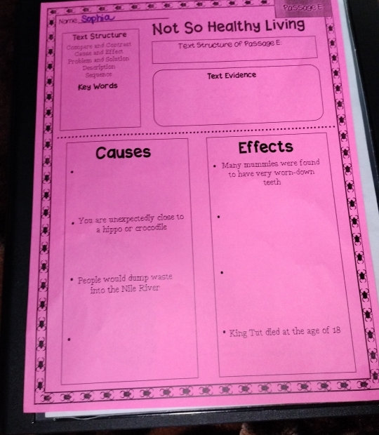 Passage E 
a 
Name 
_ 
Text Structure Not So Healthy Living 
Compare and Contrast Canse and Effect Text Structure Of Passage E: 
Problem and Solution 
Description 
Sequence Text Evidence 
Key Words 
Causes Effects 
Many mummies were found 
to have very worn-down 
teeth 
You are unexpectedly close to 
a hippo or crocodile 
People would dump waste 
into the Nile River 
King Tut died at the age of 18