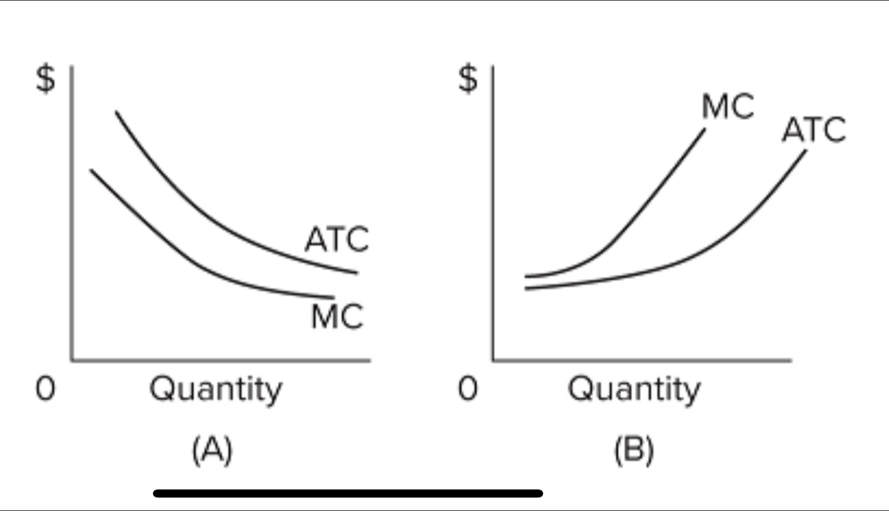 (A) (B)