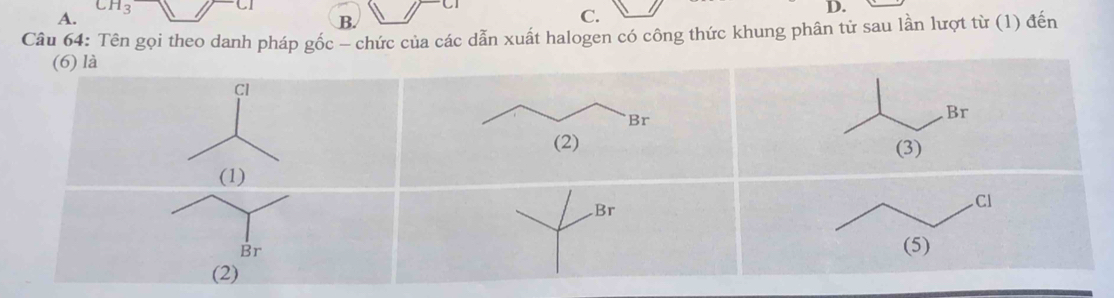 CH_3 CI D.
A.
B
C.
Câu 64: Tên gọi theo danh pháp gốc - chức của các dẫn xuất halogen có công thức khung phân tử sau lần lượt từ (1) đến