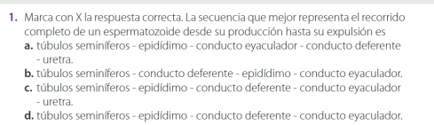 Marca con X la respuesta correcta. La secuencia que mejor representa el recorrido
completo de un espermatozoide desde su producción hasta su expulsión es
a. túbulos seminíferos - epidídimo - conducto eyaculador - conducto deferente
- uretra.
b. túbulos seminíferos - conducto deferente - epidídimo - conducto eyaculador.
c.túbulos seminíferos - epidídimo - conducto deferente - conducto eyaculador
- uretra.
d túbulos seminíferos - epidídimo - conducto deferente - conducto eyaculador.