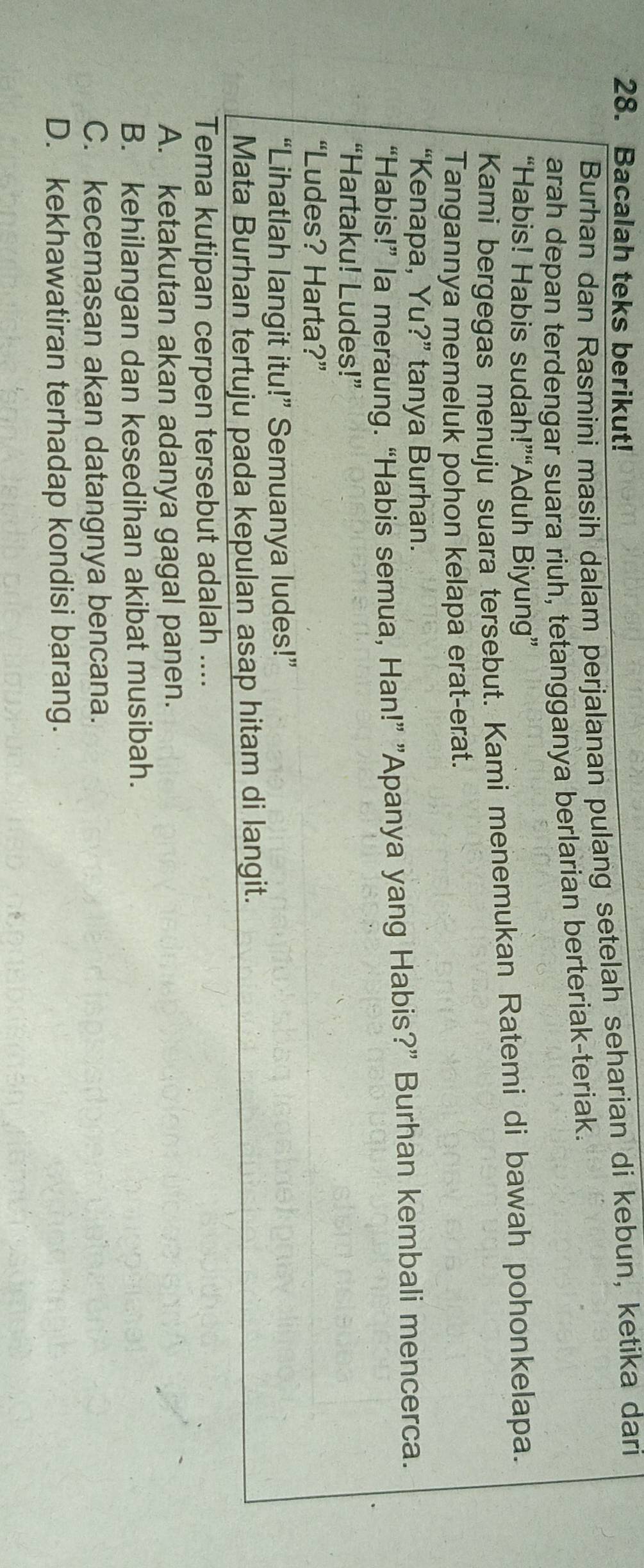Bacalah teks berikut!
Burhan dan Rasmini masih dalam perjalanan pulang setelah seharian di kebun, ketika dari
arah depan terdengar suara riuh, tetangganya berlarian berteriak-teriak.
“Habis! Habis sudah!”“Aduh Biyung”
Kami bergegas menuju suara tersebut. Kami menemukan Ratemi di bawah pohonkelapa.
Tangannya memeluk pohon kelapa erat-erat.
“Kenapa, Yu?” tanya Burhan.
“Habis!” la meraung. “Habis semua, Han!” ”Apanya yang Habis?” Burhan kembali mencerca.
“Hartaku! Ludes!”
“Ludes? Harta?”
“Lihatlah langit itu!” Semuanya ludes!”
Mata Burhan tertuju pada kepulan asap hitam di langit.
Tema kutipan cerpen tersebut adalah ....
A. ketakutan akan adanya gagal panen.
B. kehilangan dan kesedihan akibat musibah.
C. kecemasan akan datangnya bencana.
D. kekhawatiran terhadap kondisi barang.