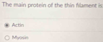 The main protein of the thin filament is
Actin
Myosin