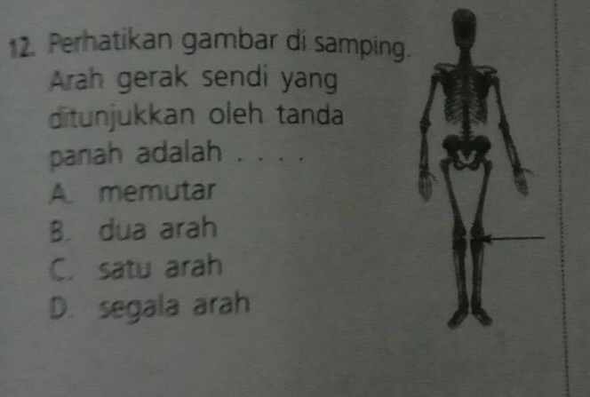 Perhatikan gambar di samping.
Arah gerak sendi yang
ditunjukkan oleh tanda
panah adalah . . . .
A memutar
B. dua arah
C. satu arah
D. segala arah