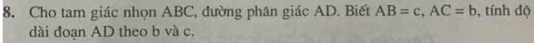 Cho tam giác nhọn ABC, đường phân giác AD. Biết AB=c, AC=b , tính độ 
dài đoạn AD theo b và c.
