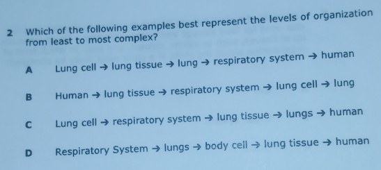 Which of the following examples best represent the levels of organization
from least to most complex?
A Lung cell → lung tissue → lung → respiratory system → human
B Human → lung tissue → respiratory system → lung cell → lung
C Lung cell → respiratory system → lung tissue → lungs → human
D Respiratory System → lungs → body cell → lung tissue → human