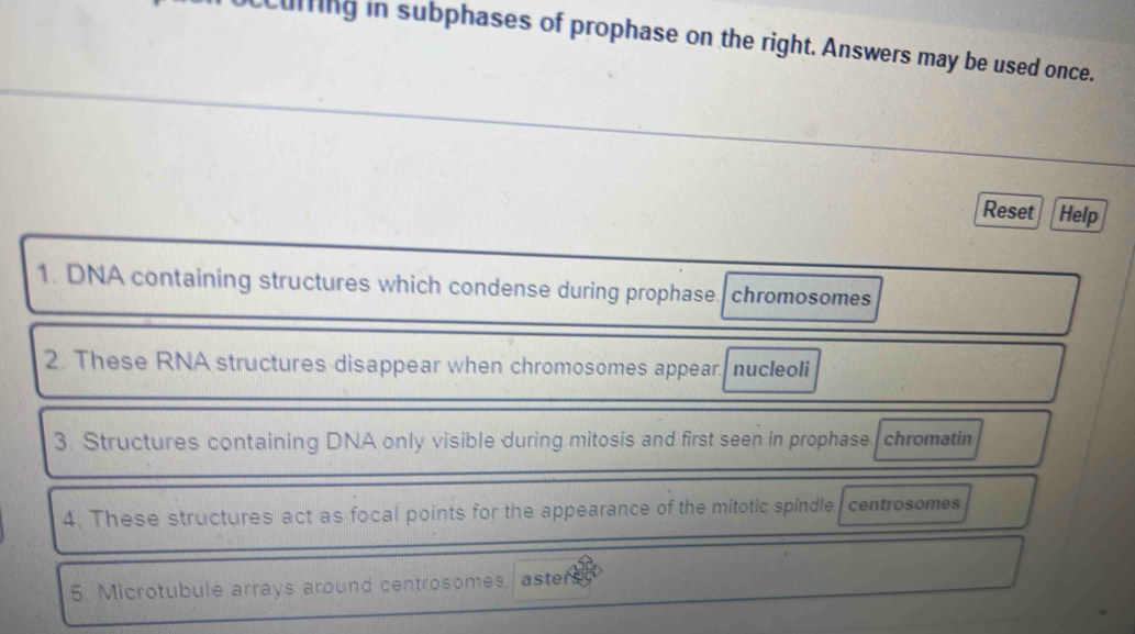 Solved: uing in subphases of prophase on the right. Answers may be used ...