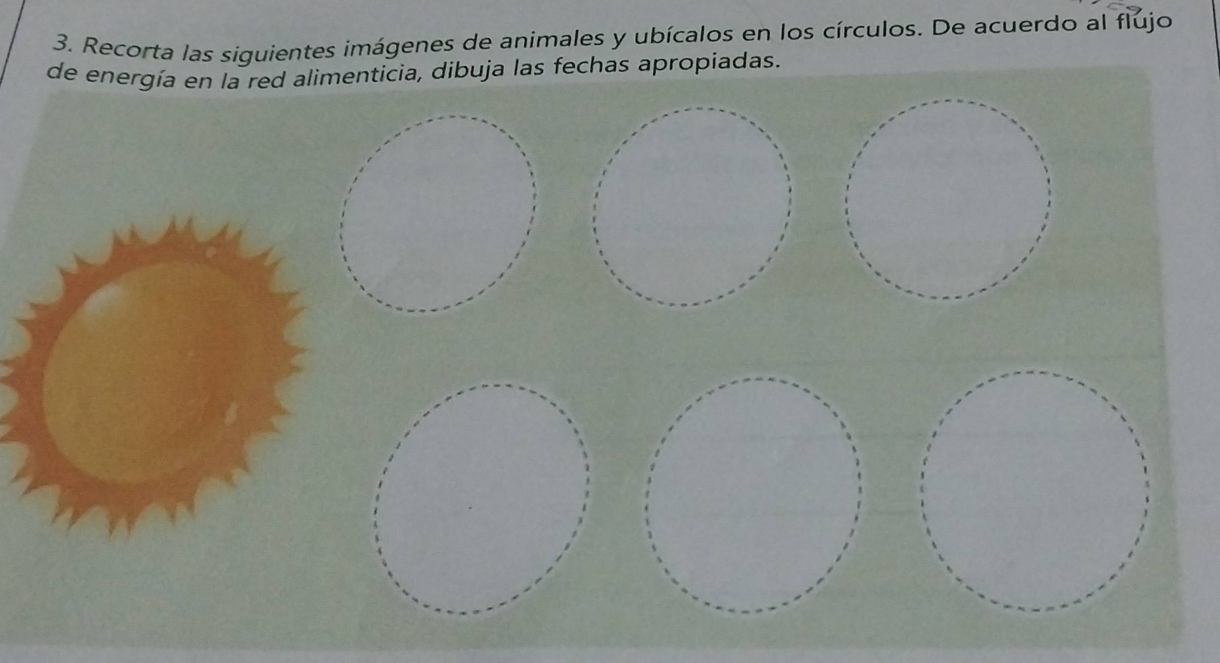 Recorta las siguientes imágenes de animales y ubícalos en los círculos. De acuerdo al flujo 
d dibuja las fechas apropiadas.