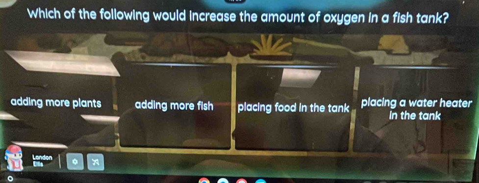 Which of the following would increase the amount of oxygen in a fish tank?
adding more plants adding more fish placing food in the tank placing a water heater
in the tank
Landon