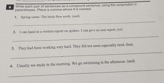 Write each pair of sentences as a compound sentence, using the conjunction in 
parentheses. Place a comma where it is needed. 
1. Spring came. The birds flew north. (and) 
_ 
2. I can hand in a written report on spiders. I can give an oral report. (or) 
_ 
_ 
3. They had been working very hard. They did not seem especially tired. (but) 
_ 
4. Usually we study in the morning. We go swimming in the afternoon. (and)