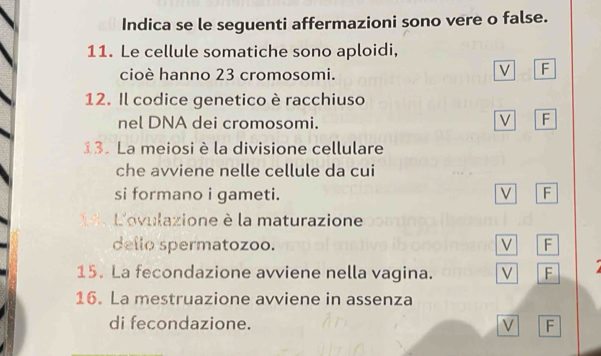 Indica se le seguenti affermazioni sono vere o false.
11. Le cellule somatiche sono aploidi,
cioè hanno 23 cromosomi.
V F
12. Il codice genetico è racchiuso
nel DNA dei cromosomi.
F
13. La meiosi è la divisione cellulare
che avviene nelle cellule da cui
si formano i gameti. V F
1、 L'ovulazione è la maturazione
dello spermatozoo. V F
15. La fecondazione avviene nella vagina. V F
16. La mestruazione avviene in assenza
di fecondazione. V F