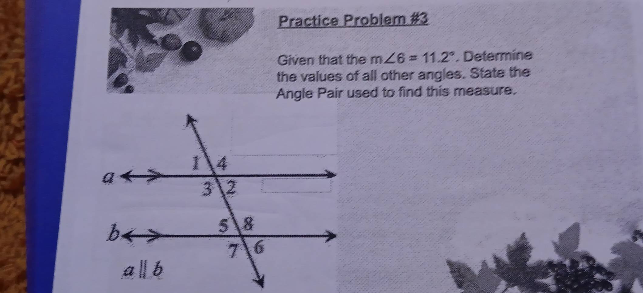 Practice Problem #3 
Given that the m∠ 6=11.2°. Determine 
the values of all other angles. State the 
Angle Pair used to find this measure.