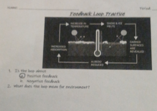 “ ”_
Peried:_
Foodback Loop Practico
1. Is the loop
a Positive feedback
b. Negative feedback
2. What does the loop mean for environment?