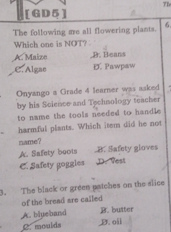 Tlr
[GD5]
The following are all flowering plants. 6.
Which one is NOT?
A. Maize B. Beans
C. Algae D. Pawpaw
Onyango a Grade 4 learner was asked
by his Science and Technology teacher
to name the tools needed to handle 
` harmful plants. Which item did he not
name?
A. Safety boots B. Safety gloves
C. Safety goggles D. Vest
3. The black or green patches on the slice
of the bread are called
A. blueband B. butter
C. moulds D. oil