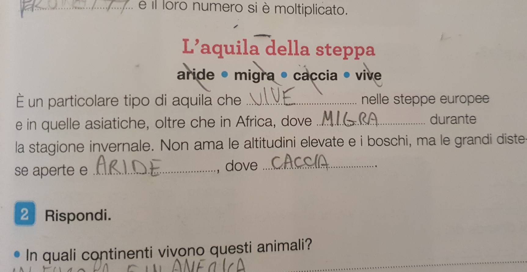 il loro numero si è moltiplicato. 
L’aquila della steppa 
aride • migra • caçcia • vive 
— un particolare tipo di aquila che _nelle steppe europe 
e in quelle asiatiche, oltre che in Africa, dove_ 
durante 
la stagione invernale. Non ama le altitudini elevate e i boschi, ma le grandi diste 
se aperte e_ 
, dove_ 
2 Rispondi. 
_ 
In quali continenti vivono questi animali?