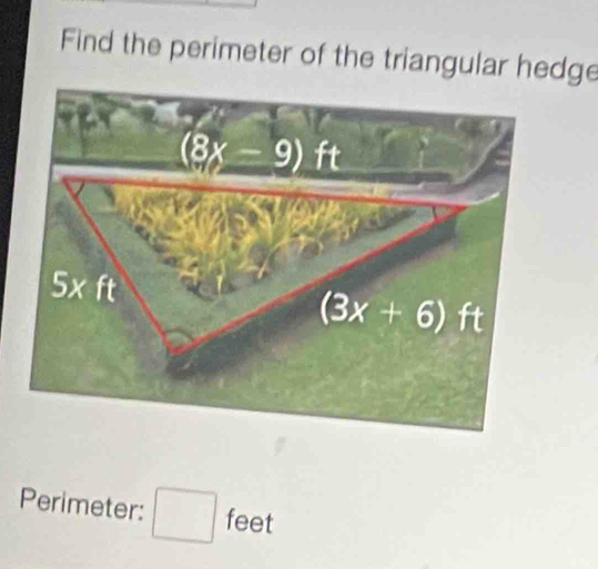 Solved: Find the perimeter of the triangular hedge Perimeter: feet [Math]