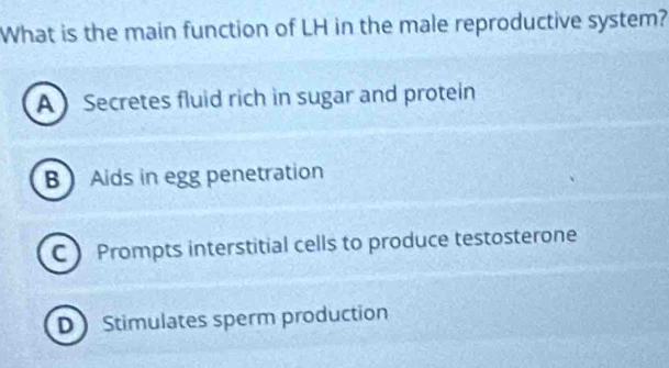 What is the main function of LH in the male reproductive system?
A Secretes fluid rich in sugar and protein
B Aids in egg penetration
C Prompts interstitial cells to produce testosterone
D Stimulates sperm production