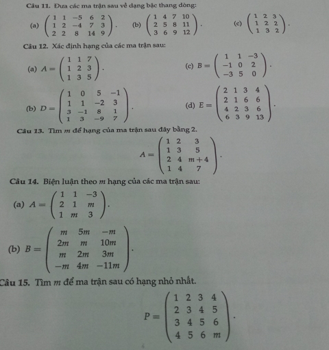 Đưa các ma trận sau về dạng bậc thang dòng
(a) beginpmatrix 1&1&-5&6&2 1&2&-4&7&3 2&2&8&14&9endpmatrix . (b) beginpmatrix 1&4&7&10 2&5&8&11 3&6&9&12endpmatrix . (c) beginpmatrix 1&2&3 1&2&2 1&3&2endpmatrix .
Câu 12. Xác định hạng của các ma trận sau:
(a) A=beginpmatrix 1&1&7 1&2&3 1&3&5endpmatrix . (c) B=beginpmatrix 1&1&-3 -1&0&2 -3&5&0endpmatrix .
(b) D=beginpmatrix 1&0&5&-1 1&1&-2&3 3&-1&8&1 1&3&-9&7endpmatrix . (d) E=beginpmatrix 2&1&3&4 2&1&6&6 4&2&3&6 6&3&9&13endpmatrix .
Câu 13. Tìm m để hạng của ma trận sau đây bằng 2.
A=beginpmatrix 1&2&3 1&3&5 2&4&m+4 1&4&7endpmatrix .
Câu 14. Biện luận theo m hạng của các ma trận sau:
(a) A=beginpmatrix 1&1&-3 2&1&m 1&m&3endpmatrix .
(b) B=beginpmatrix m&5m&-n 2m&m&10m m&2m&3m -m&4m&-11mendpmatrix .
Câu 15. Tìm m để ma trận sau có hạng nhỏ nhất.
P=beginpmatrix 1&2&3&4 2&3&4&5 3&4&5&6 4&5&6&mendpmatrix .