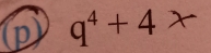 p q⁴ + 4 x