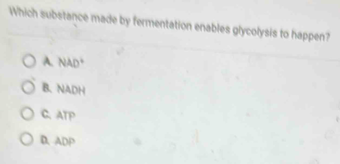 Which substance made by fermentation enables glycolysis to happen?
A. NAD°
B. NADH
C、 ATP
D、 ADP